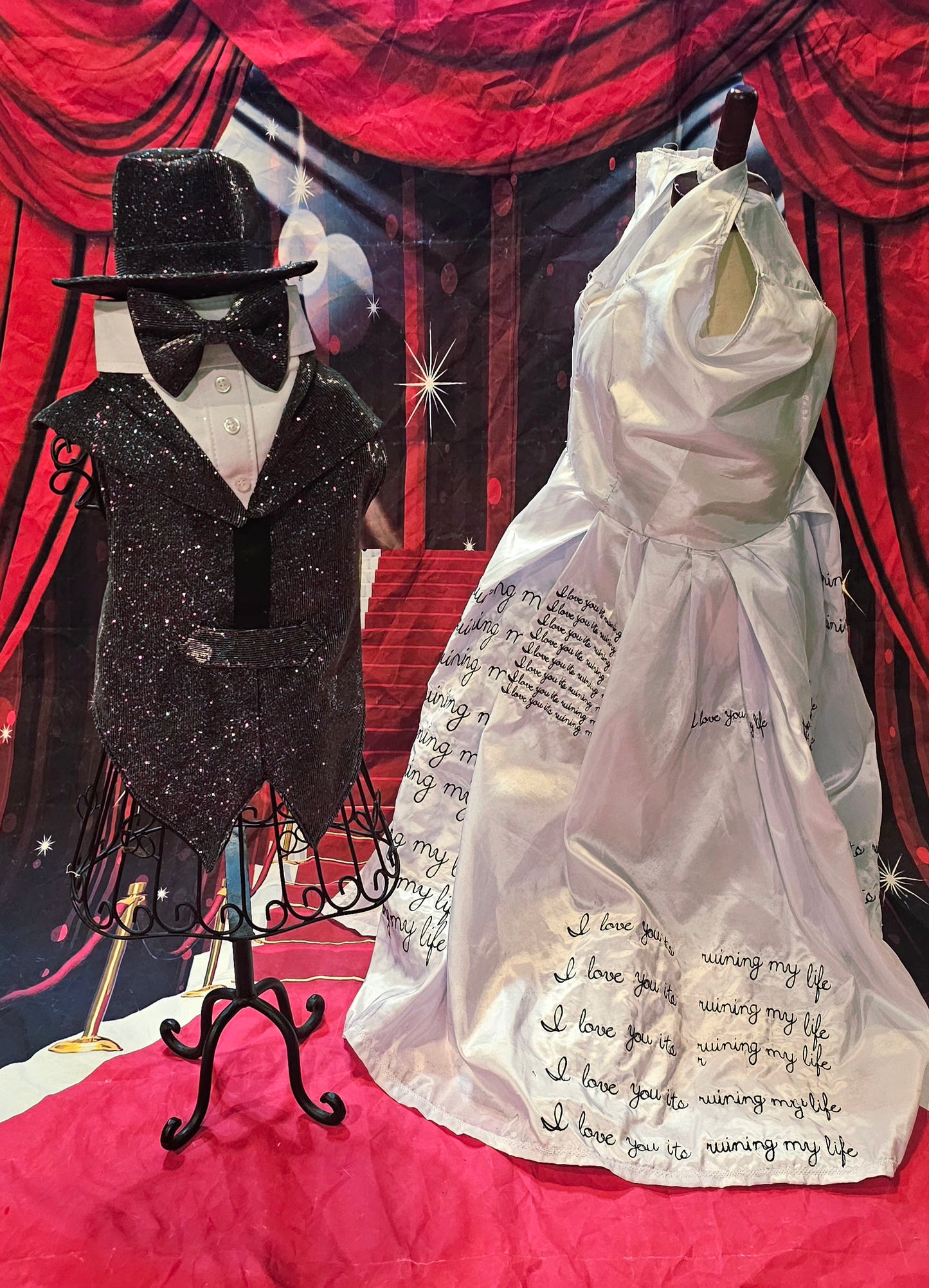 Glitter pet vest and top hat, Pet suit and top hat