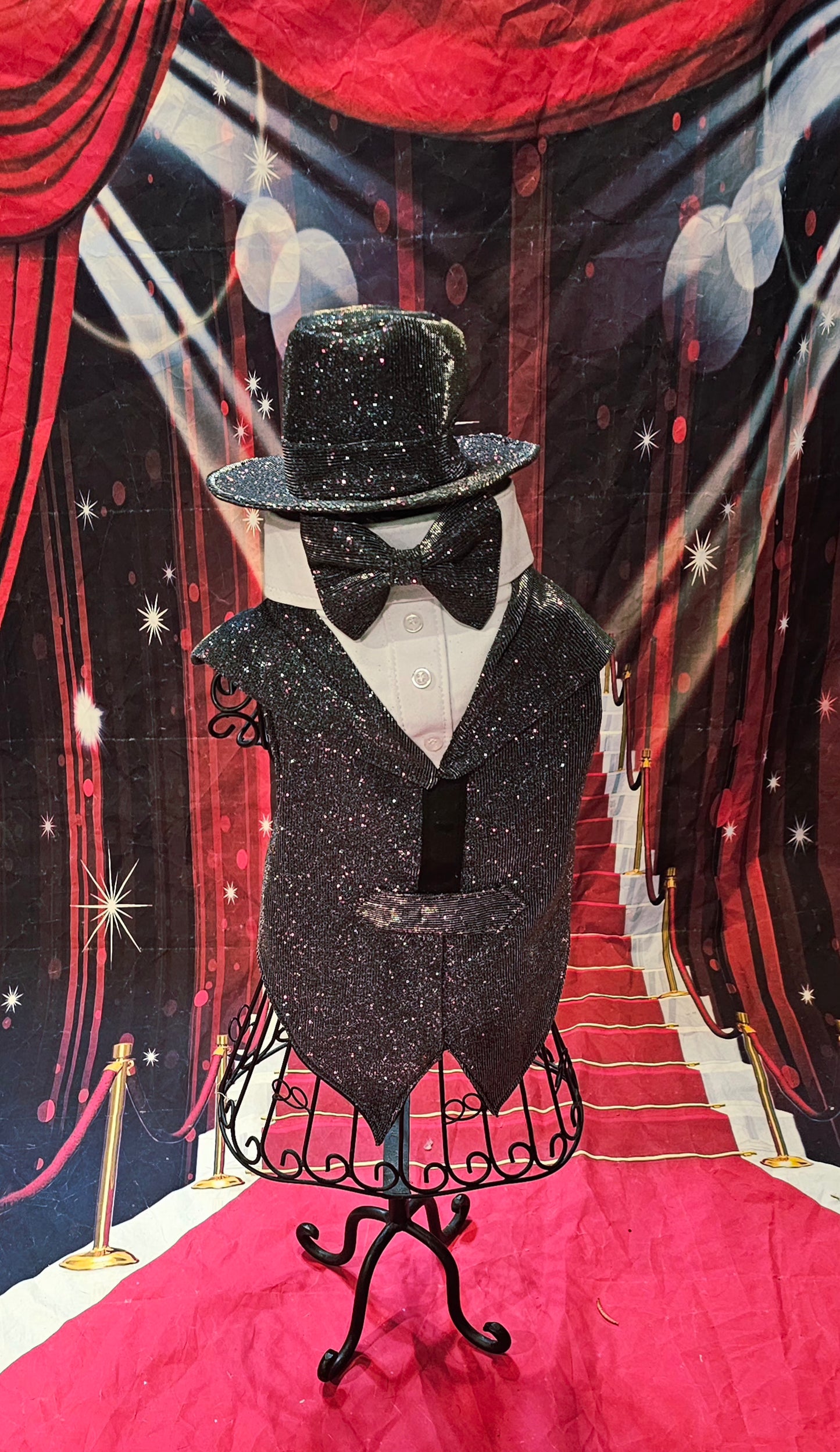 Glitter pet vest and top hat, Pet suit and top hat
