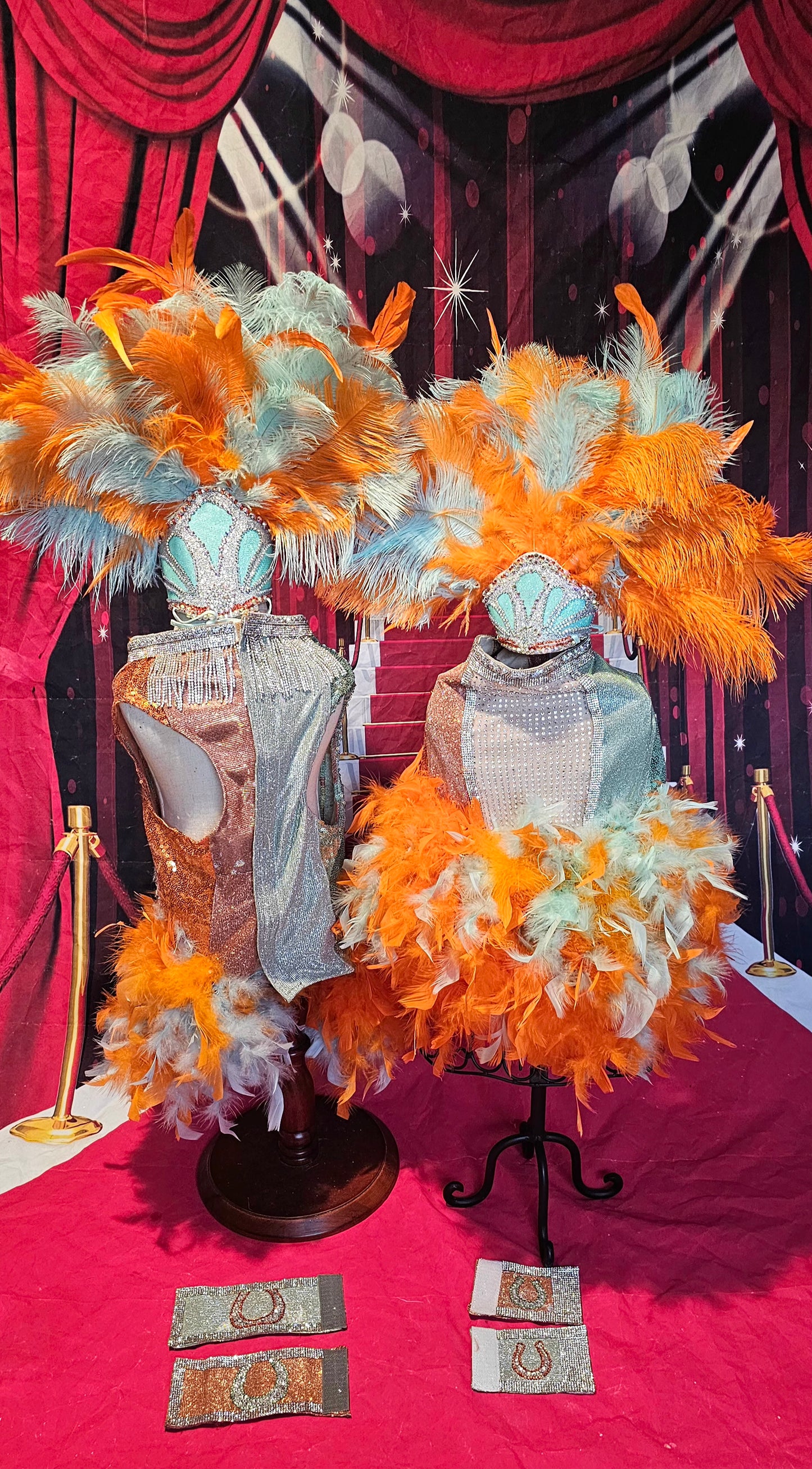 Showgirl pet costume, Life of showpet costume