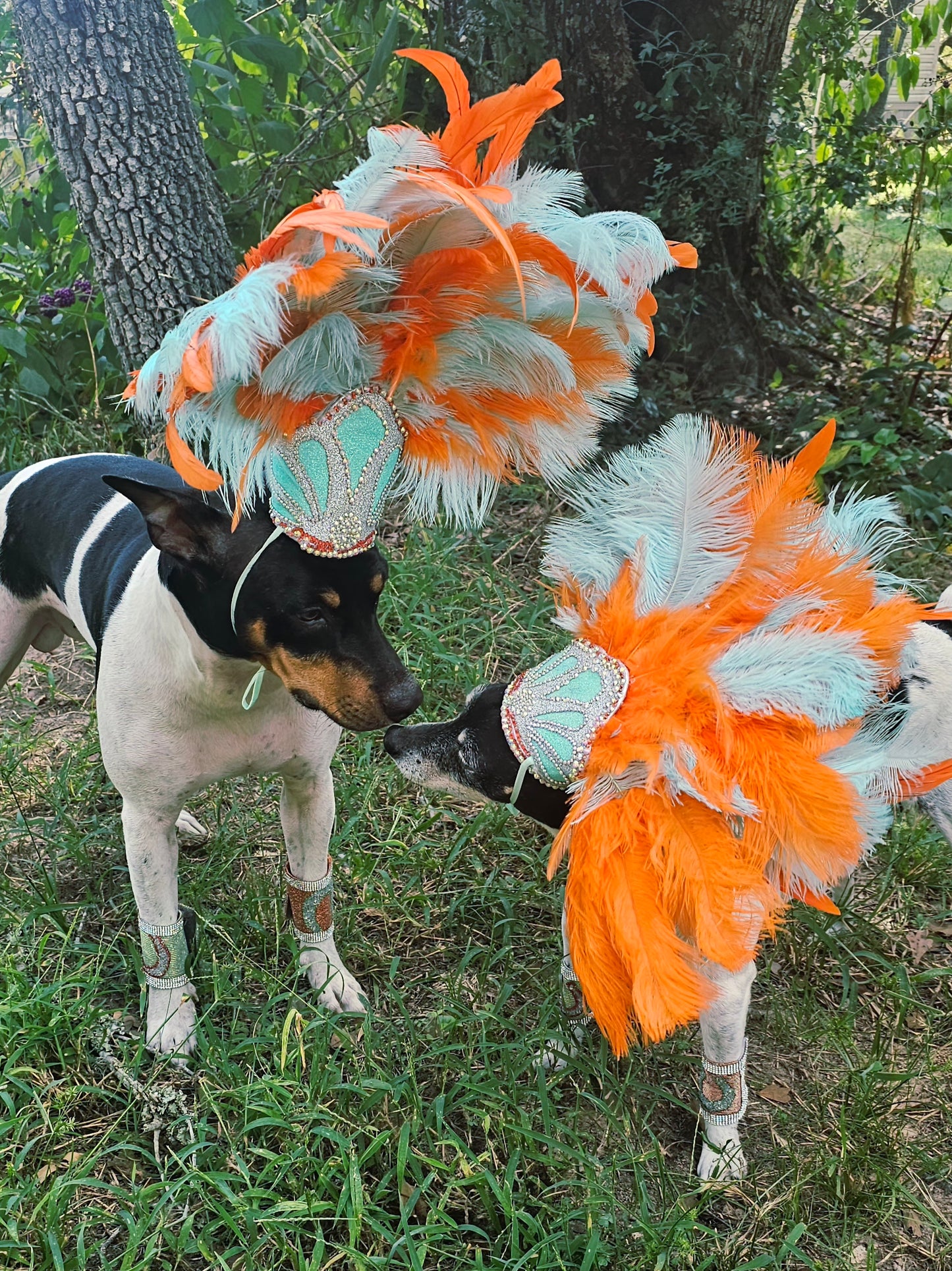 Showgirl Pet Headress, feather headress for dogs