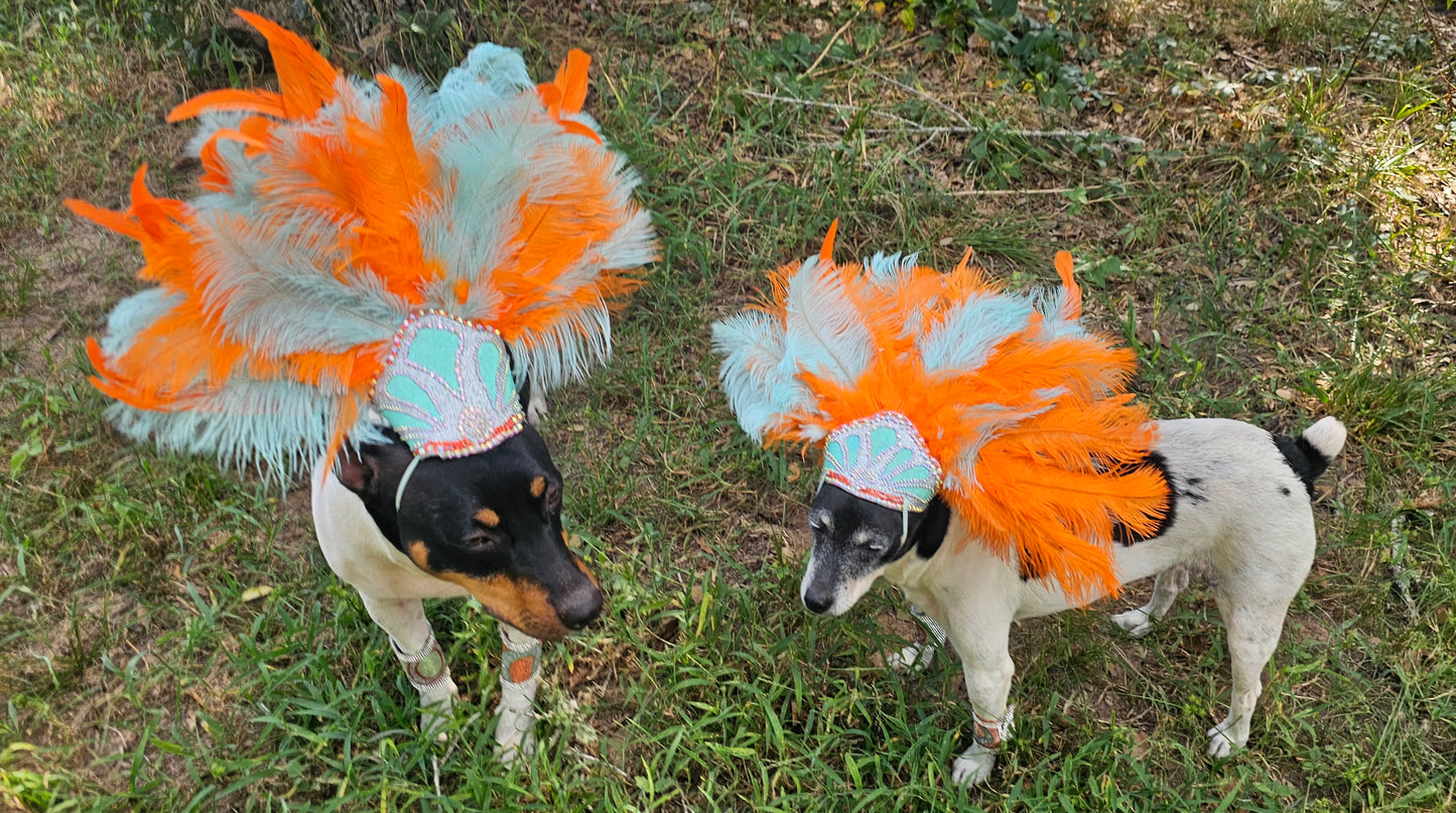 Showgirl Pet Headress, feather headress for dogs
