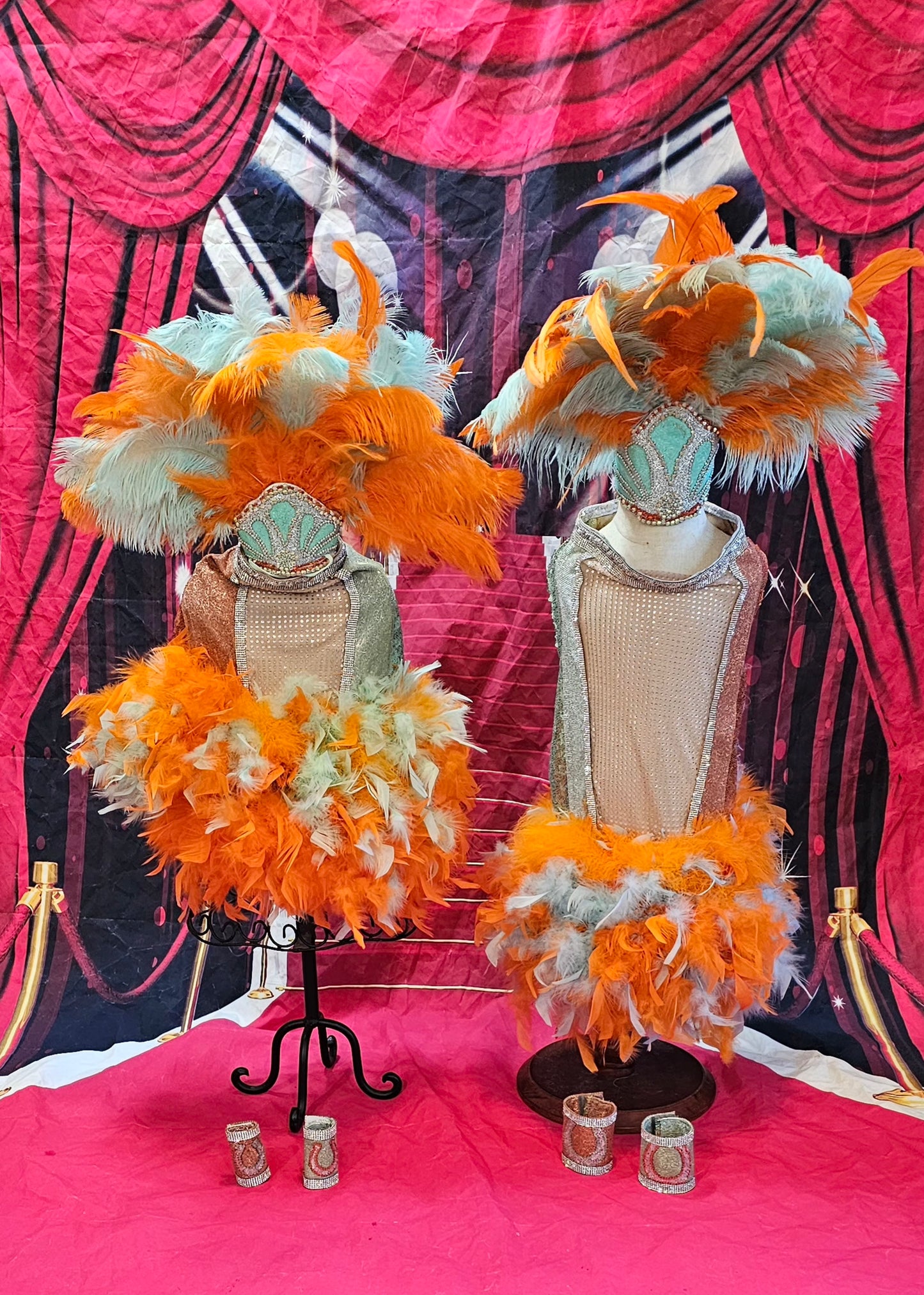 Showgirl pet costume, Life of showpet costume