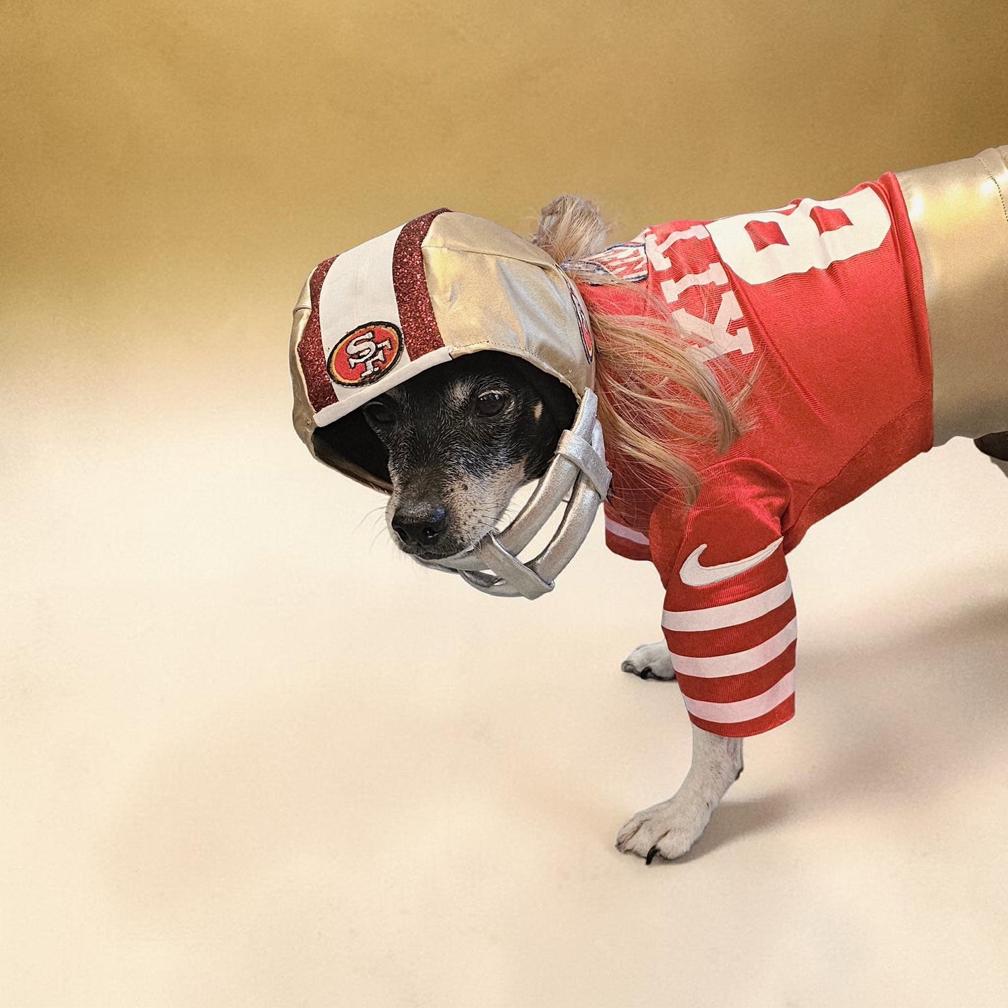 Football pet helmet, custom helmet for pets, nfl inspired football helmet