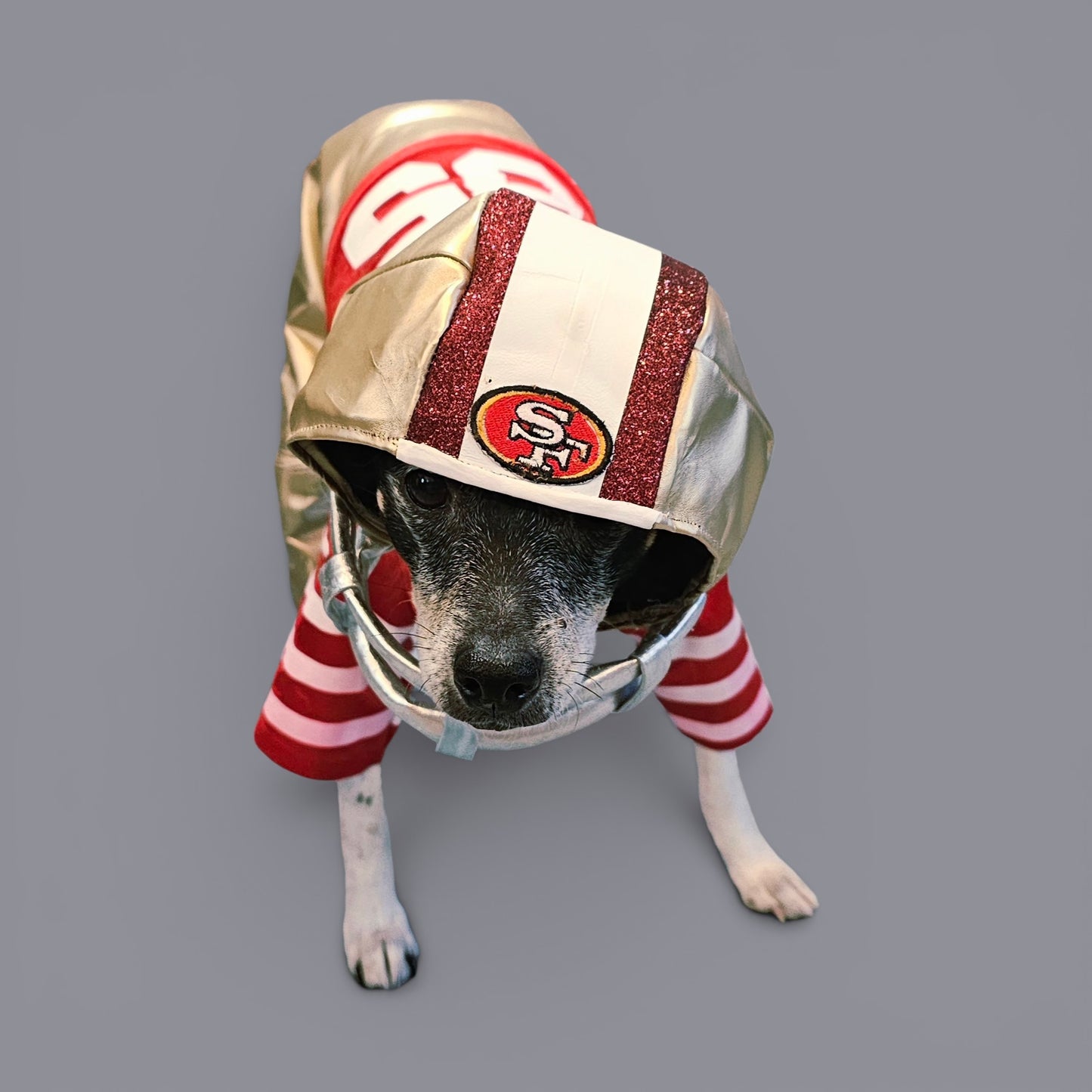 Football pet helmet, custom helmet for pets, nfl inspired football helmet