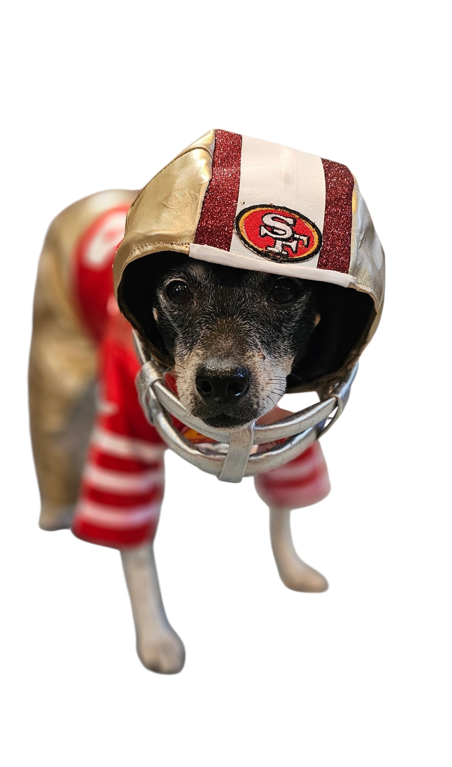 Football pet helmet, custom helmet for pets, nfl inspired football helmet