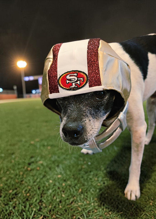 Football pet helmet, custom helmet for pets, nfl inspired football helmet