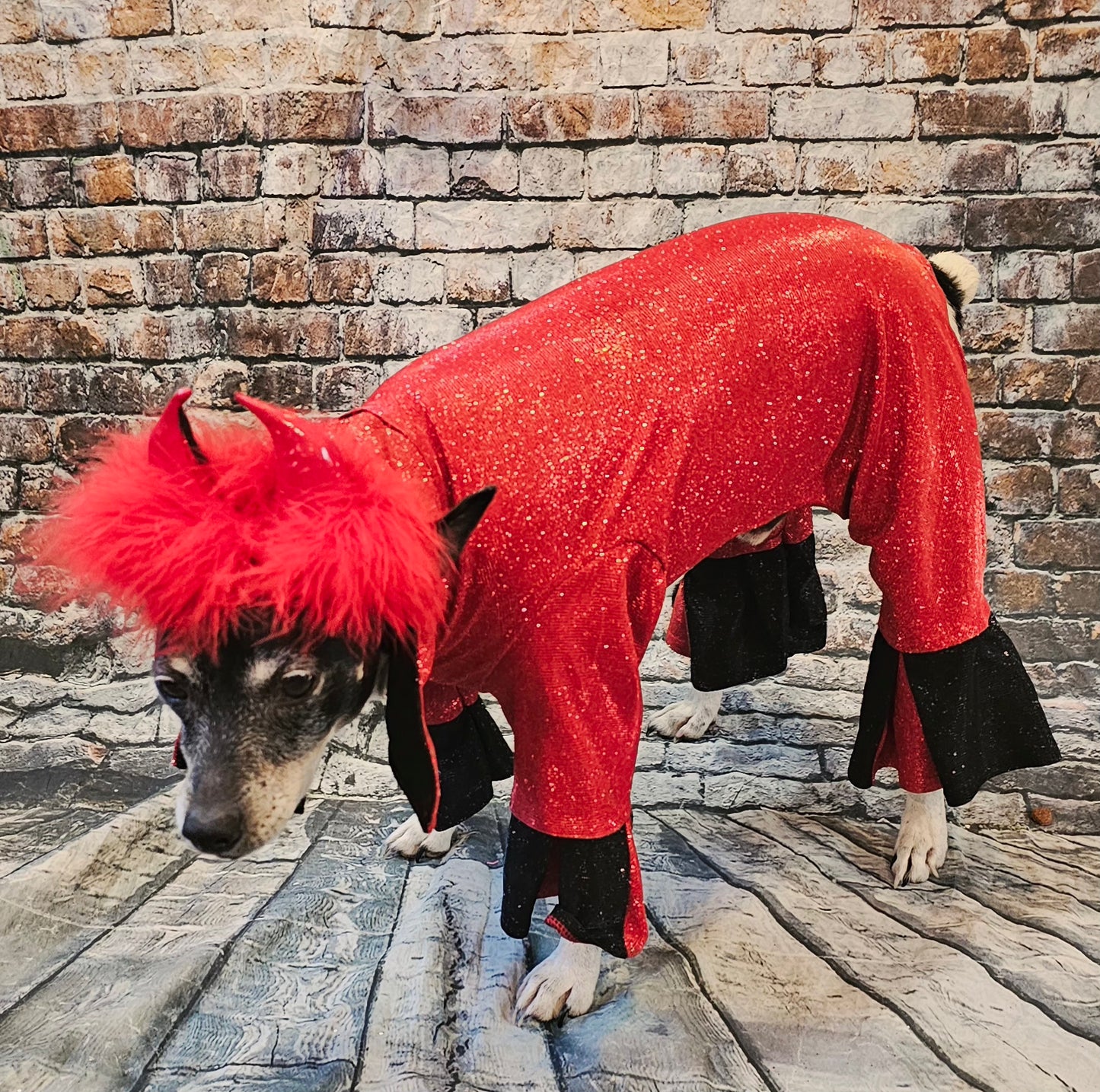 Devil glitter pet body suit, devil pet body suit, devil dog costume, devil cat costume