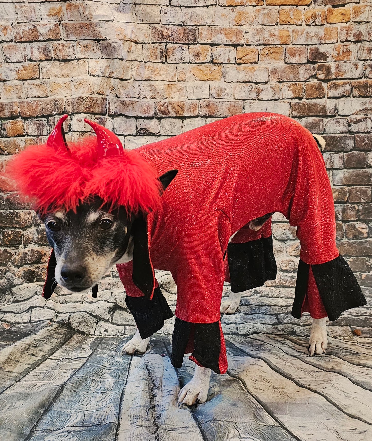 Devil glitter pet body suit, devil pet body suit, devil dog costume, devil cat costume
