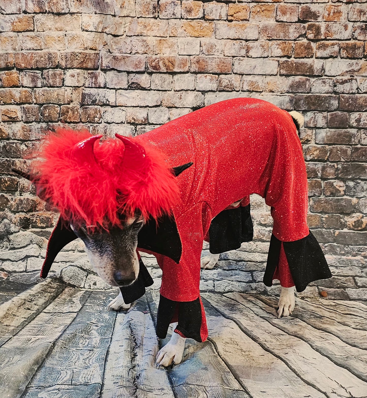 Devil glitter pet body suit, devil pet body suit, devil dog costume, devil cat costume