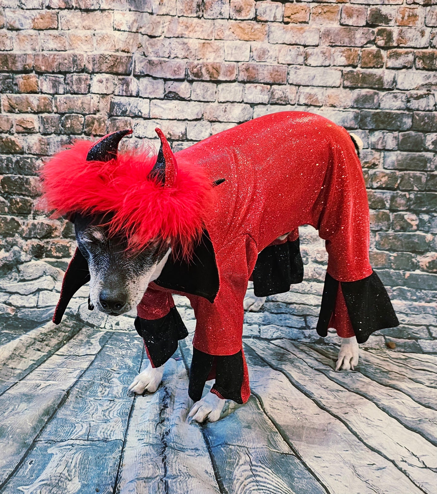Devil glitter pet body suit, devil pet body suit, devil dog costume, devil cat costume