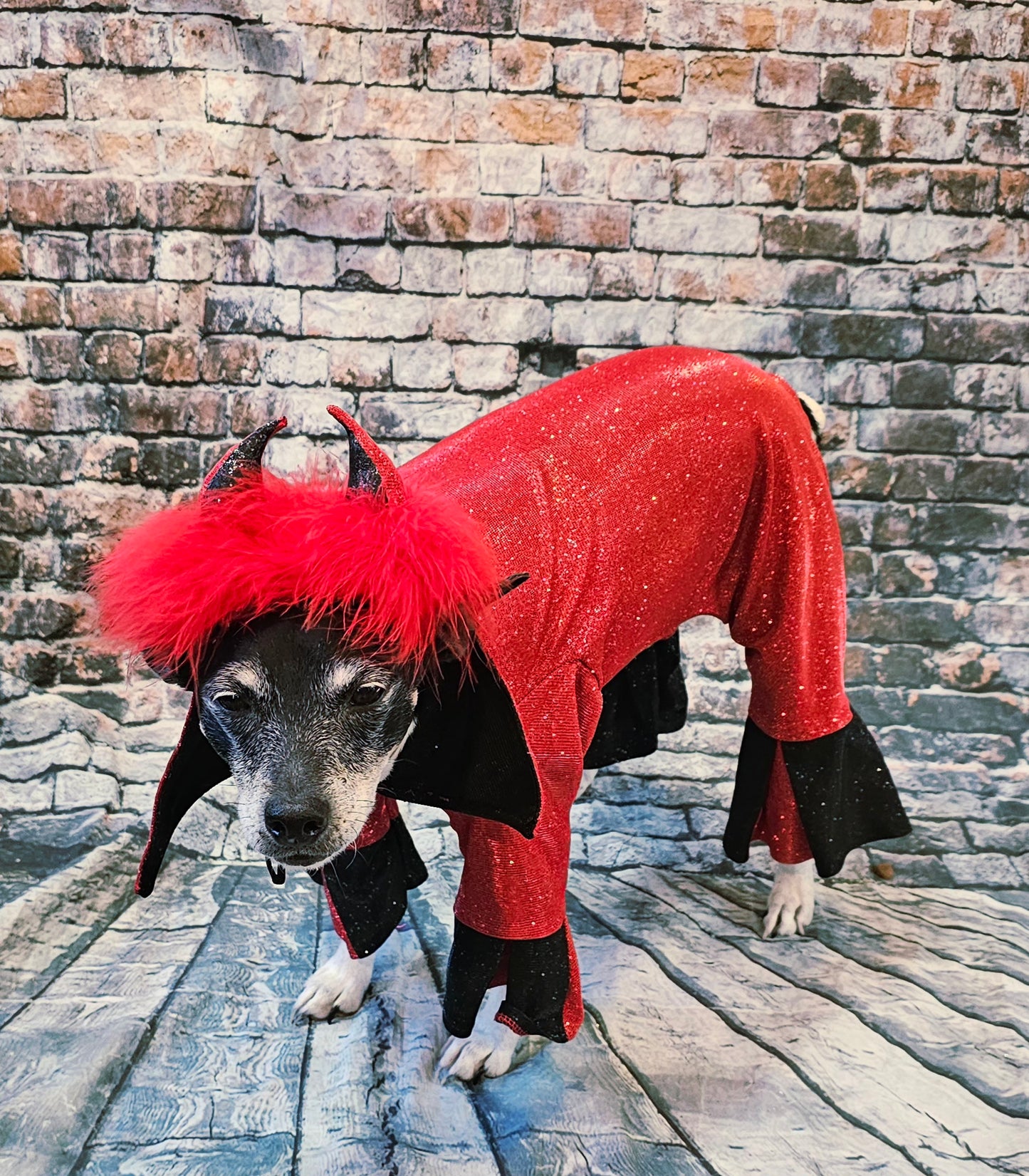 Devil glitter pet body suit, devil pet body suit, devil dog costume, devil cat costume