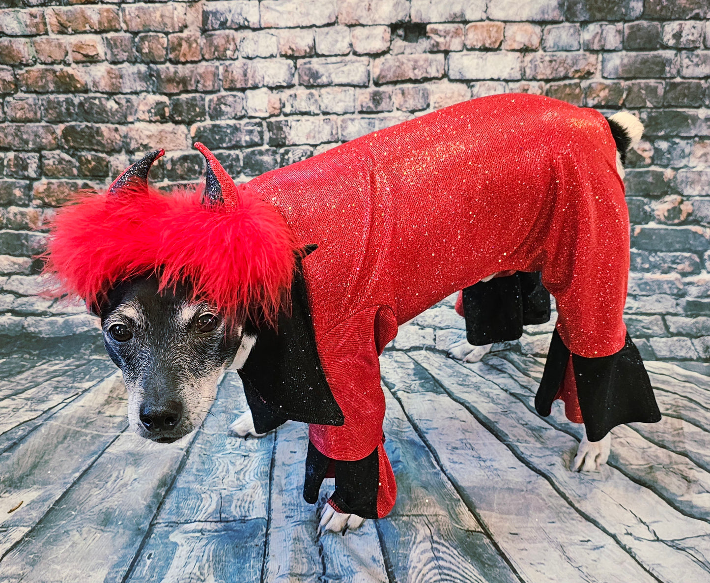 Devil glitter pet body suit, devil pet body suit, devil dog costume, devil cat costume
