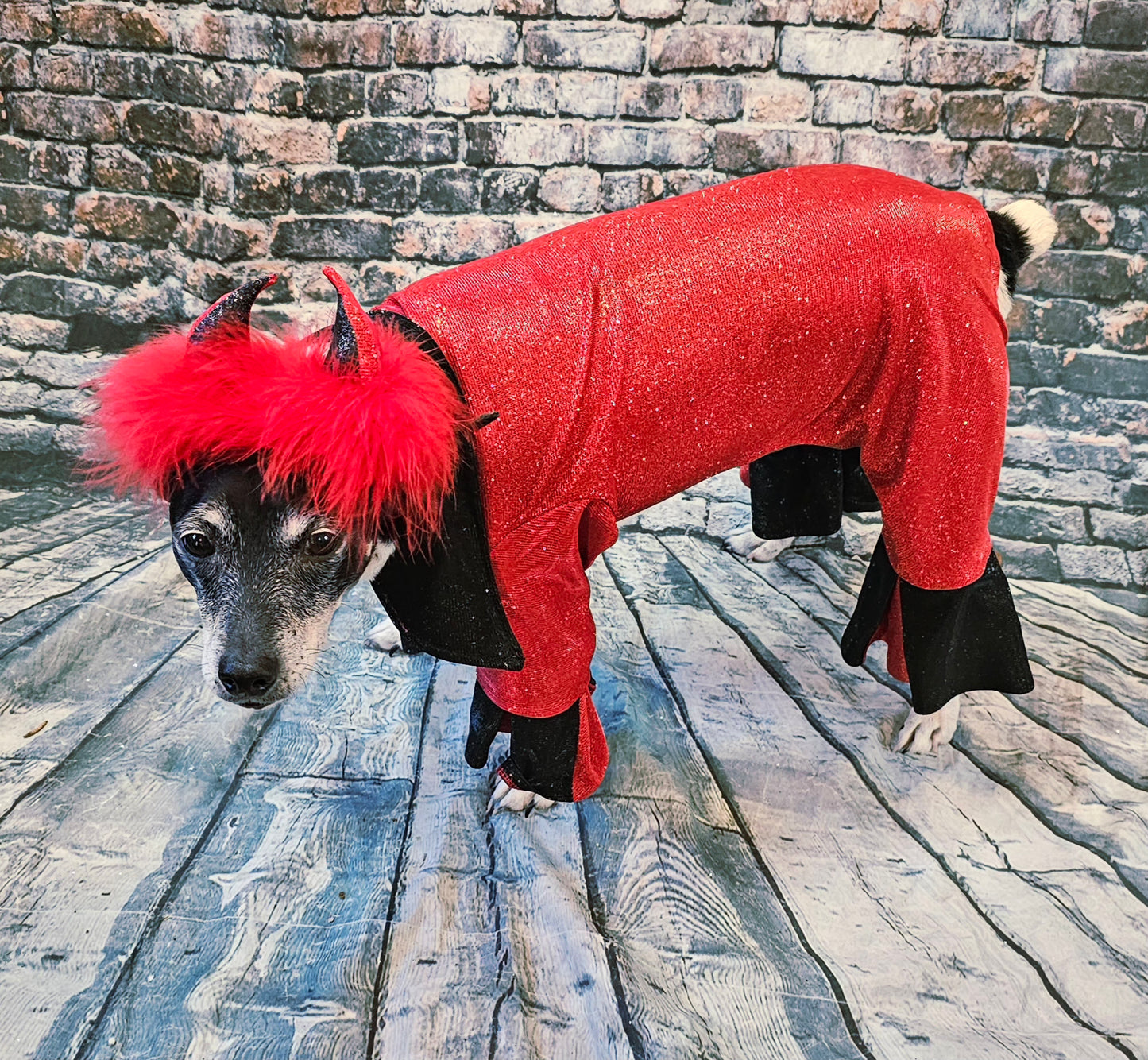 Devil glitter pet body suit, devil pet body suit, devil dog costume, devil cat costume