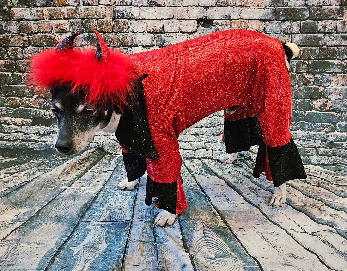 Devil glitter pet body suit, devil pet body suit, devil dog costume, devil cat costume