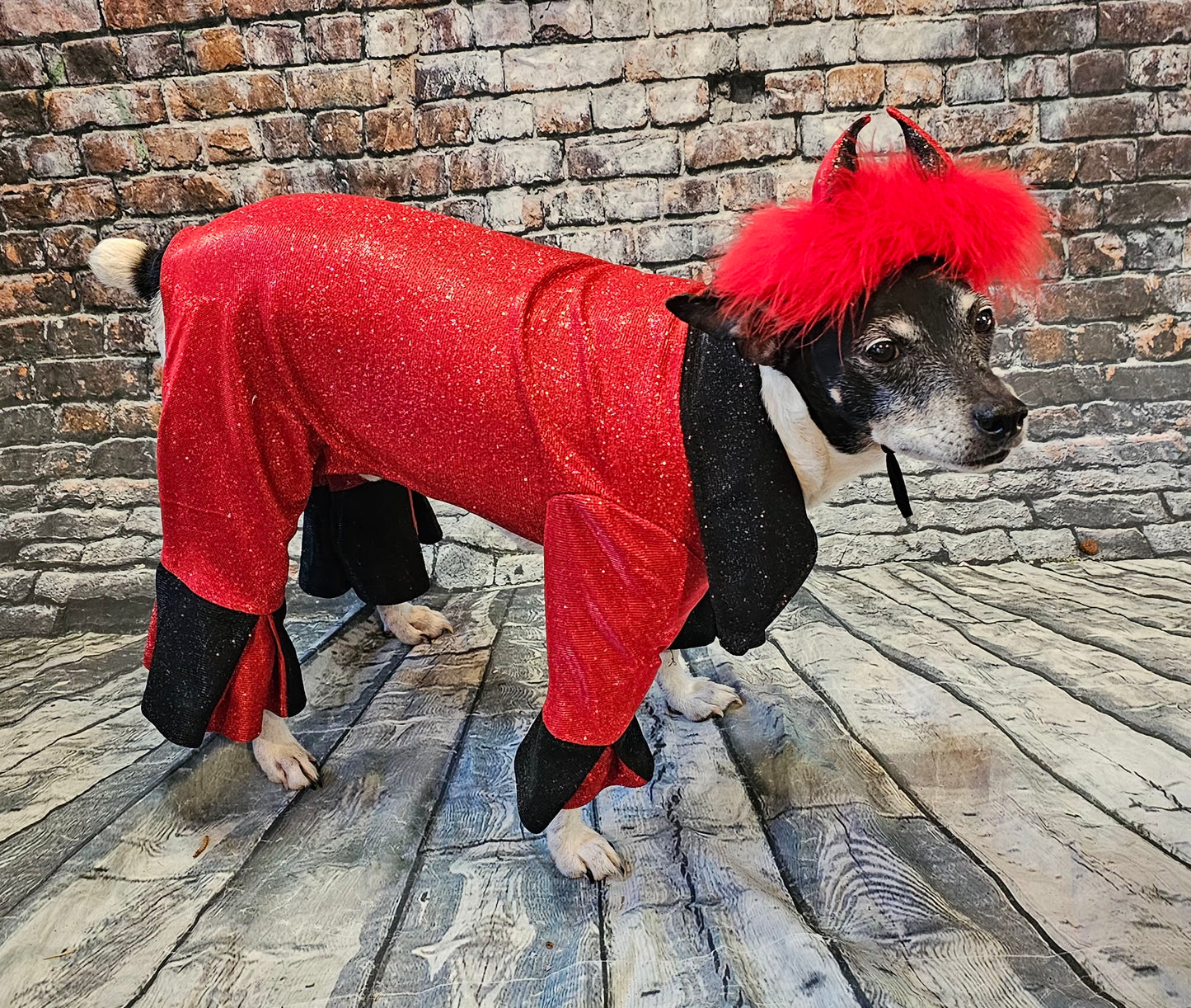 Devil glitter pet body suit, devil pet body suit, devil dog costume, devil cat costume