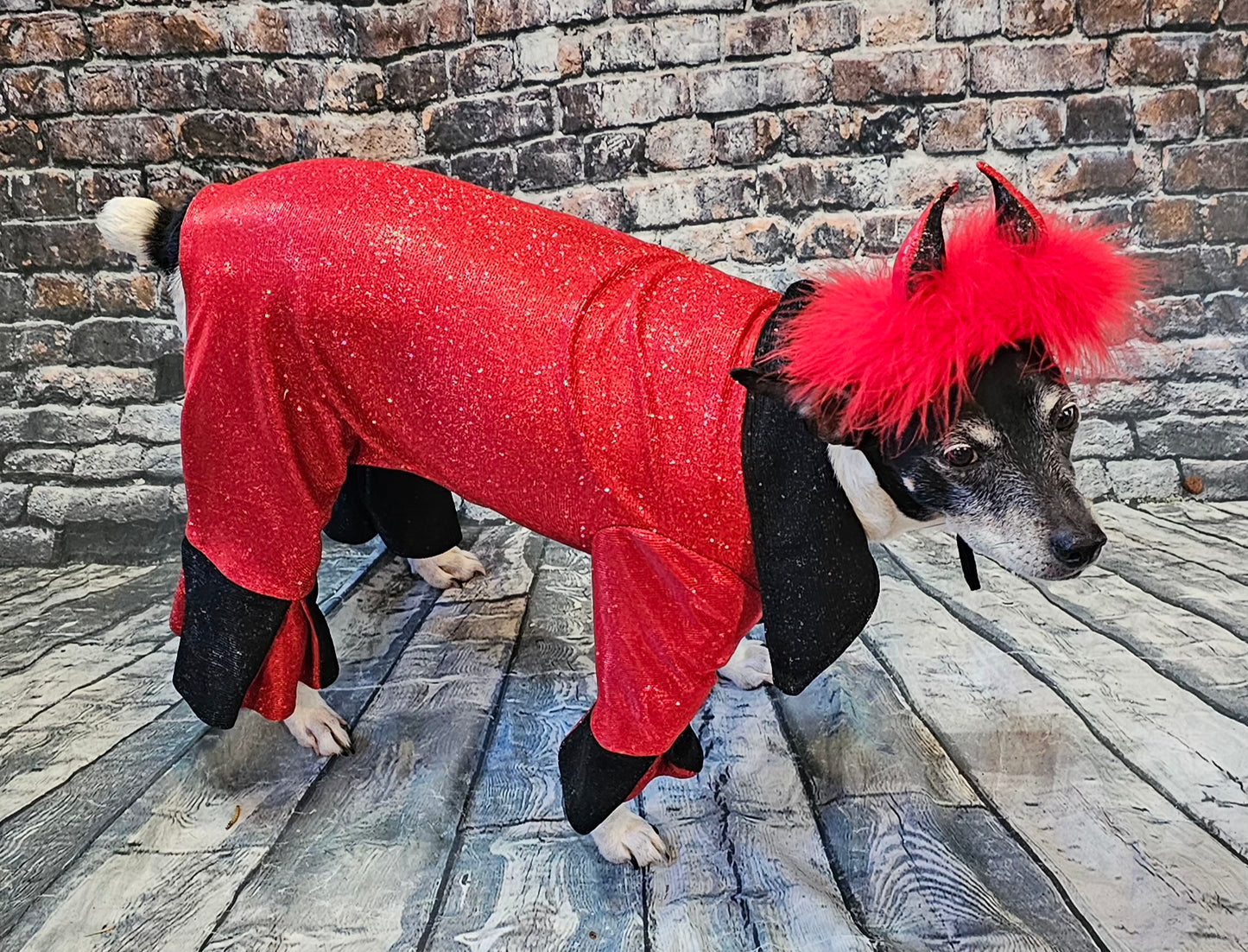 Devil glitter pet body suit, devil pet body suit, devil dog costume, devil cat costume