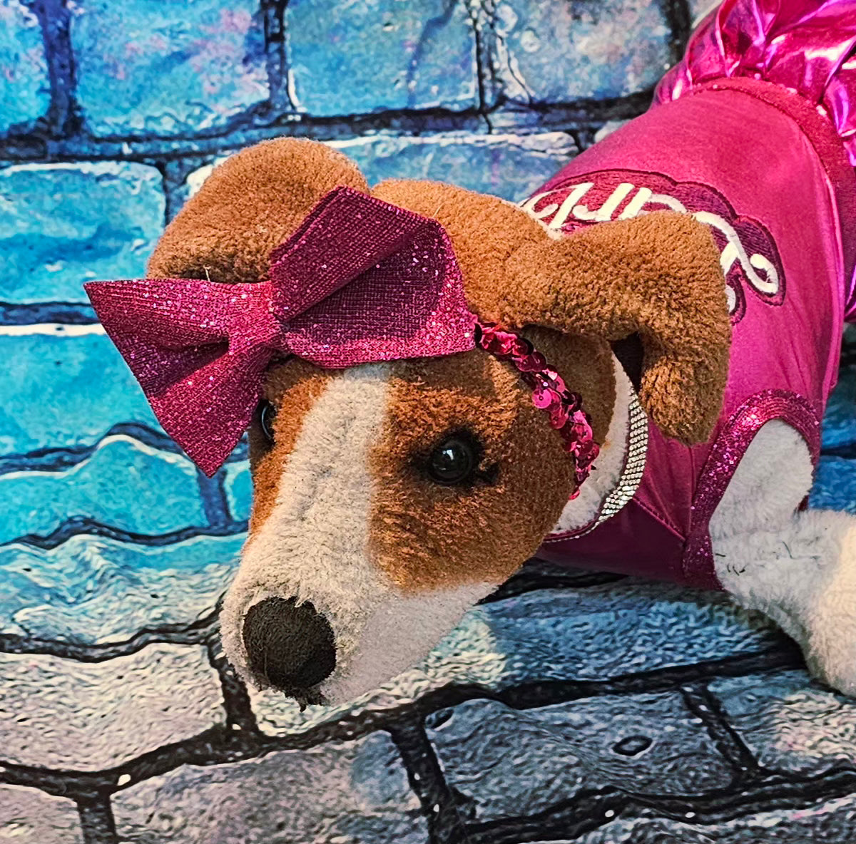 Glitter pet bow with sequin head band, pet bows