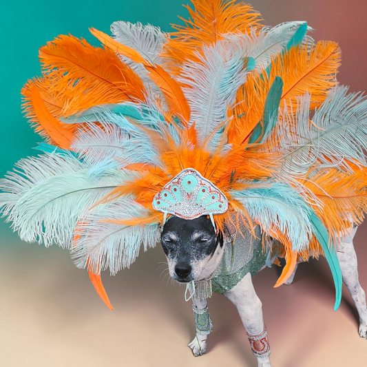 Showgirl pet costume, Life of showpet costume, feather showgirl pet costume
