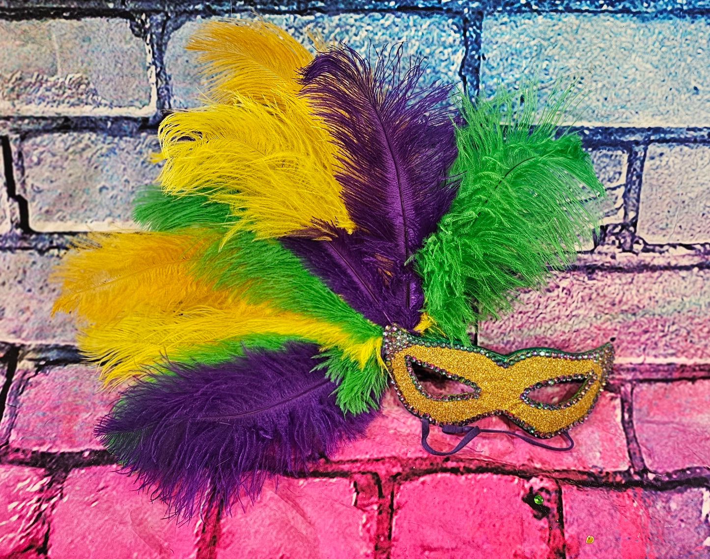 Mardi Gras Pet Masks, Mardi Gras Dog Mask, Fat Tuesday pet, feather pet mask