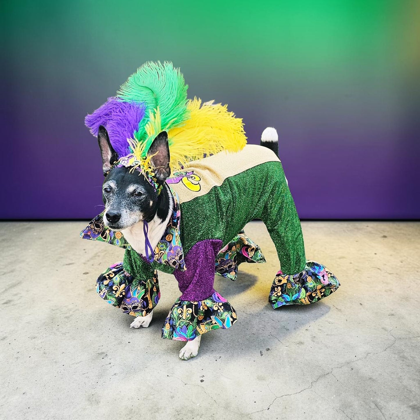 Mardi Gras pet suit, glitter Mardi Gras pet costume, Fleur De Lis pet costume
