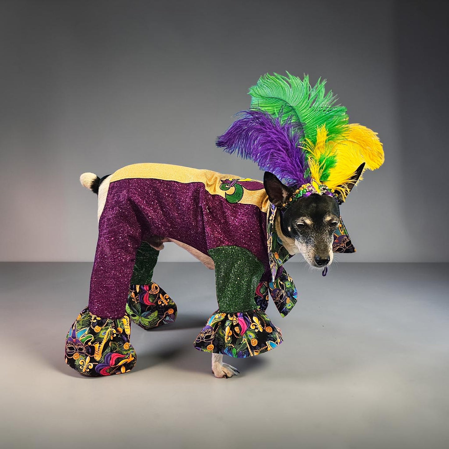 Mardi Gras pet suit, glitter Mardi Gras pet costume, Fleur De Lis pet costume