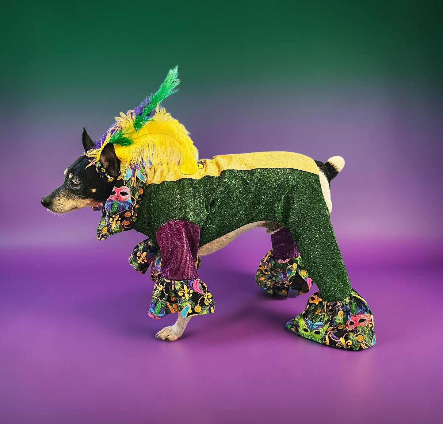 Mardi Gras pet suit, glitter Mardi Gras pet costume, Fleur De Lis pet costume