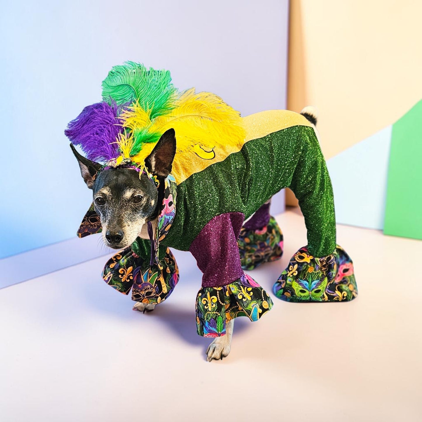 Mardi Gras pet suit, glitter Mardi Gras pet costume, Fleur De Lis pet costume
