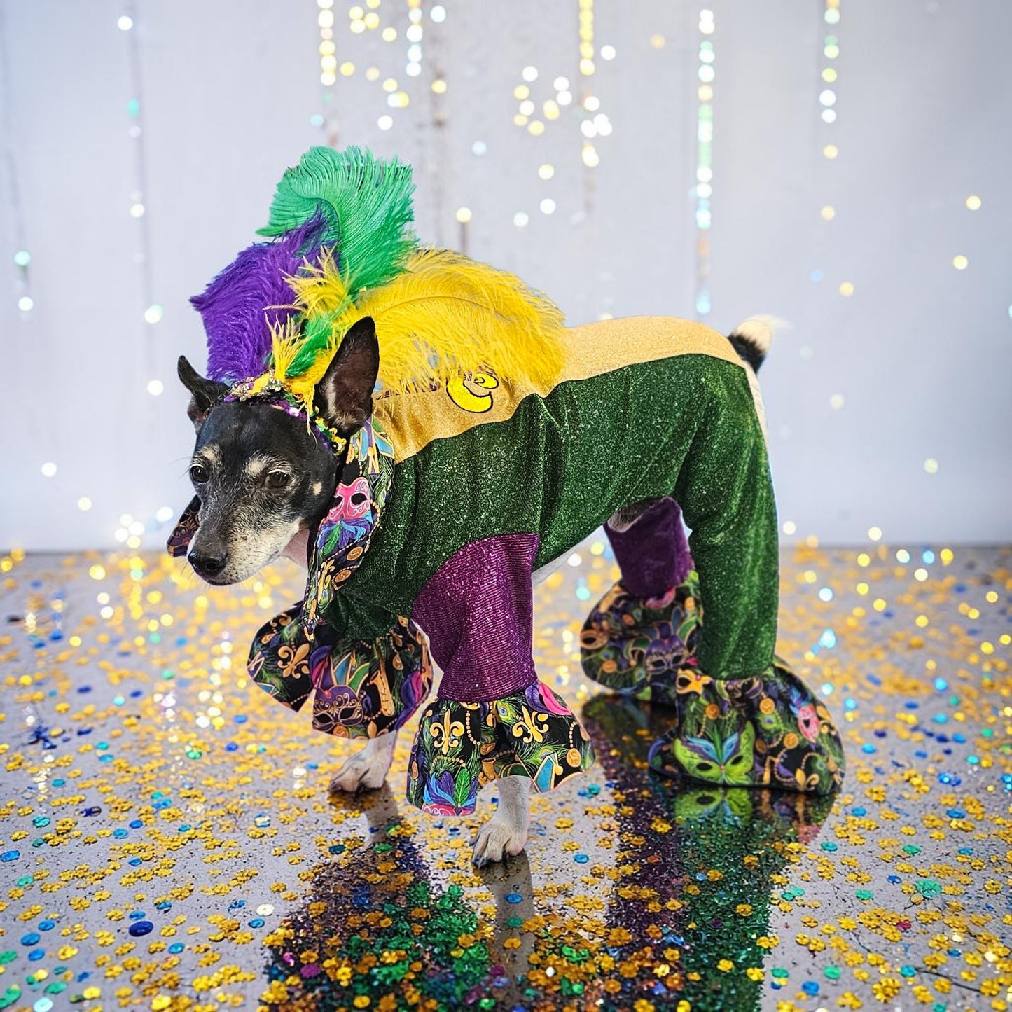 Mardi Gras pet suit, glitter Mardi Gras pet costume, Fleur De Lis pet costume