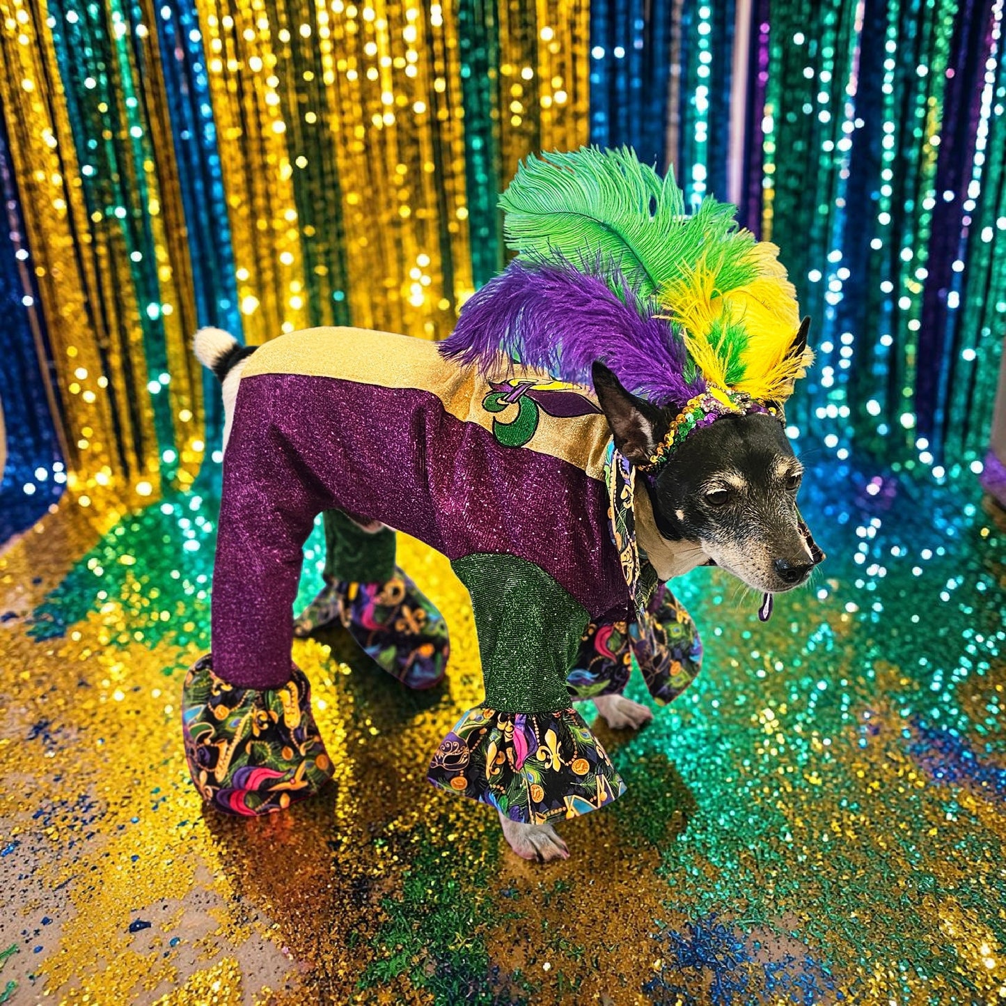Mardi Gras pet suit, glitter Mardi Gras pet costume, Fleur De Lis pet costume