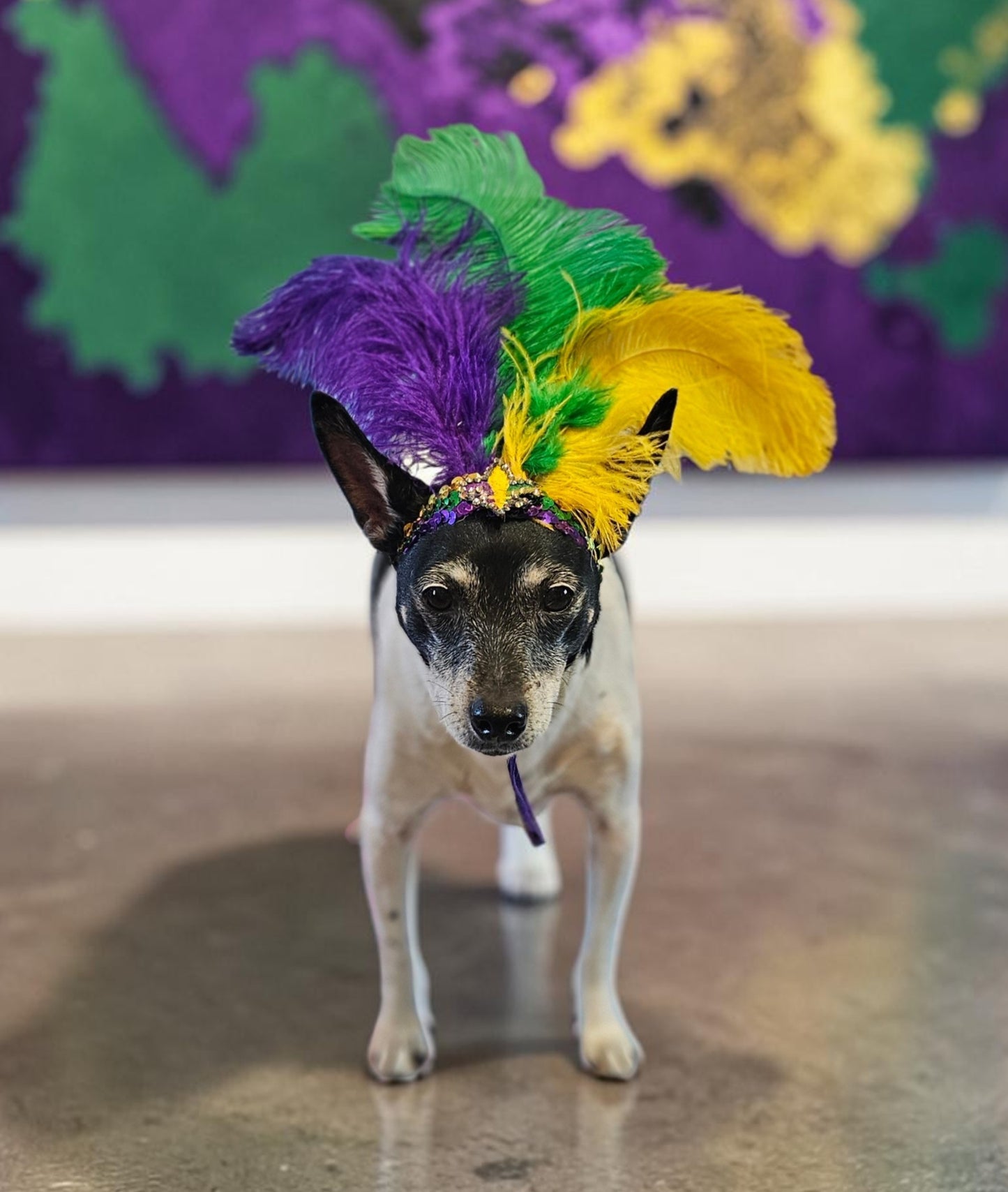 Mardi gras flapper pet headpiece, sequin feather dog headpiece