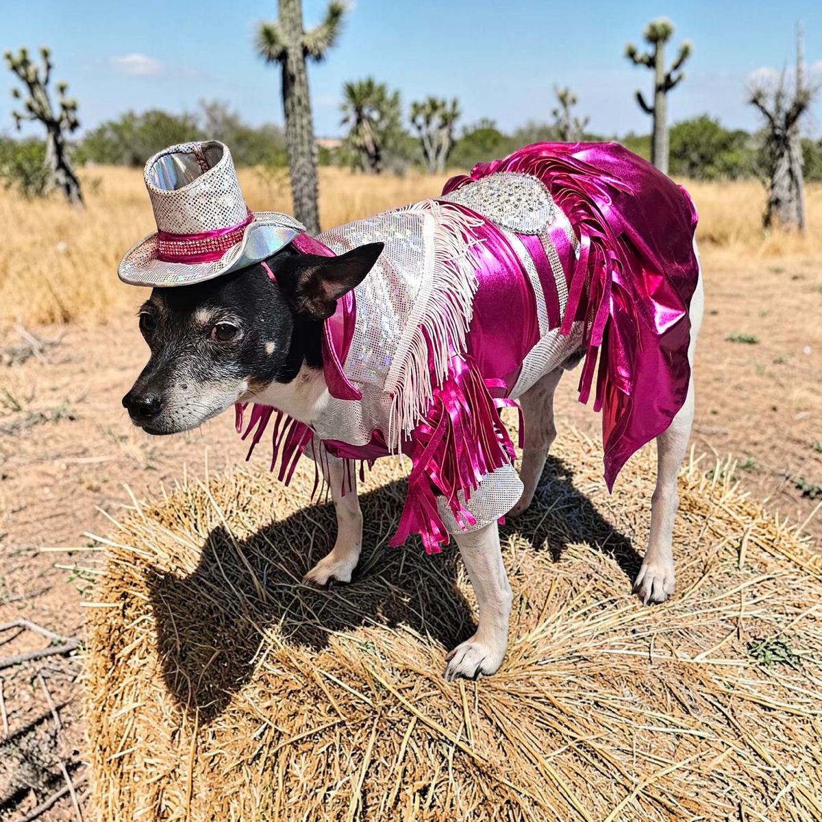 Dolly Patron pet costume, Metallic fringe country western pet dress costume, Rhinestone cowgirl fringe pet dress costume