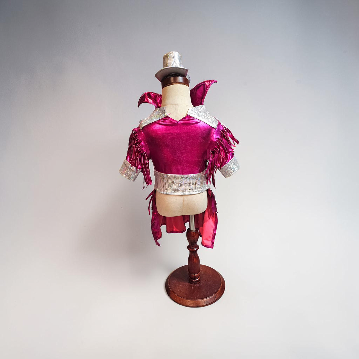 Dolly Patron pet costume, Metallic fringe country western pet dress costume, Rhinestone cowgirl fringe pet dress costume