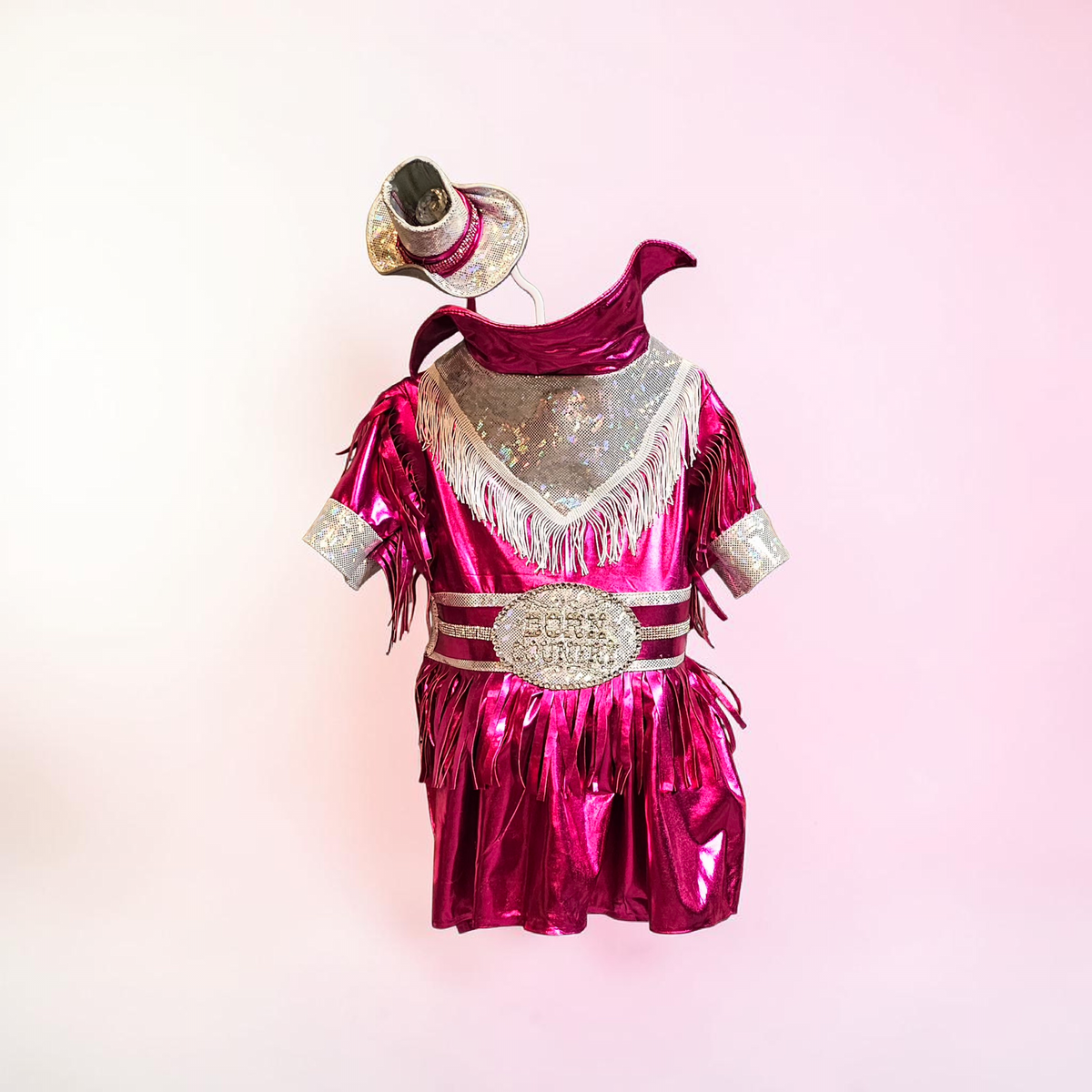 Dolly Patron pet costume, Metallic fringe country western pet dress costume, Rhinestone cowgirl fringe pet dress costume