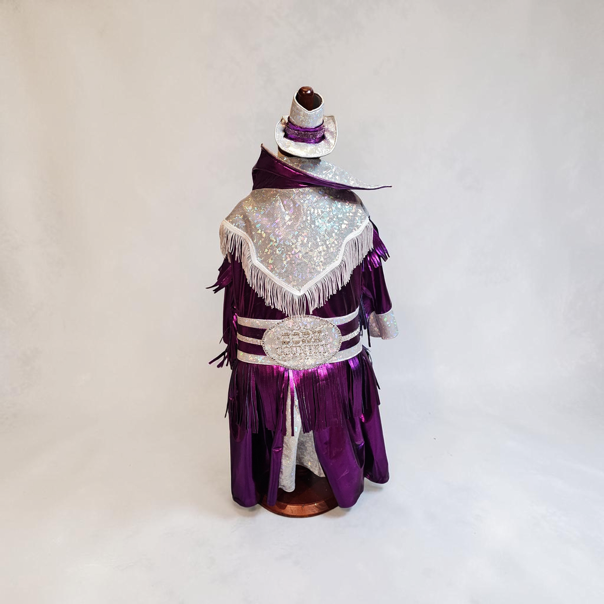Dolly Patron pet costume, Metallic fringe country western pet dress costume, Rhinestone cowgirl fringe pet dress costume