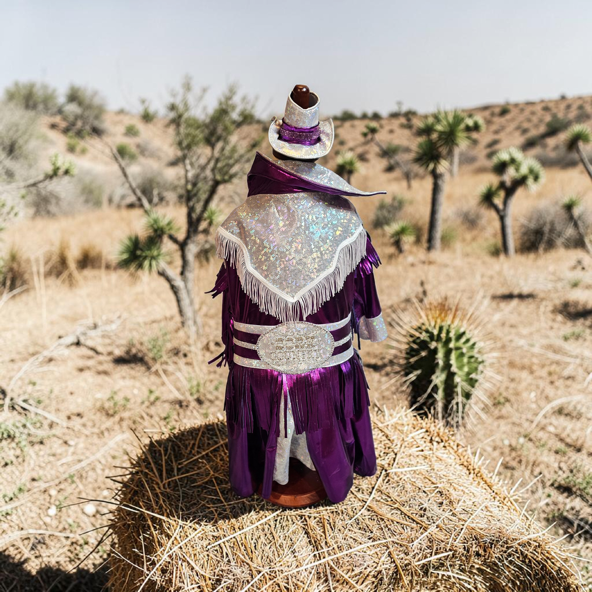 Dolly Patron pet costume, Metallic fringe country western pet dress costume, Rhinestone cowgirl fringe pet dress costume