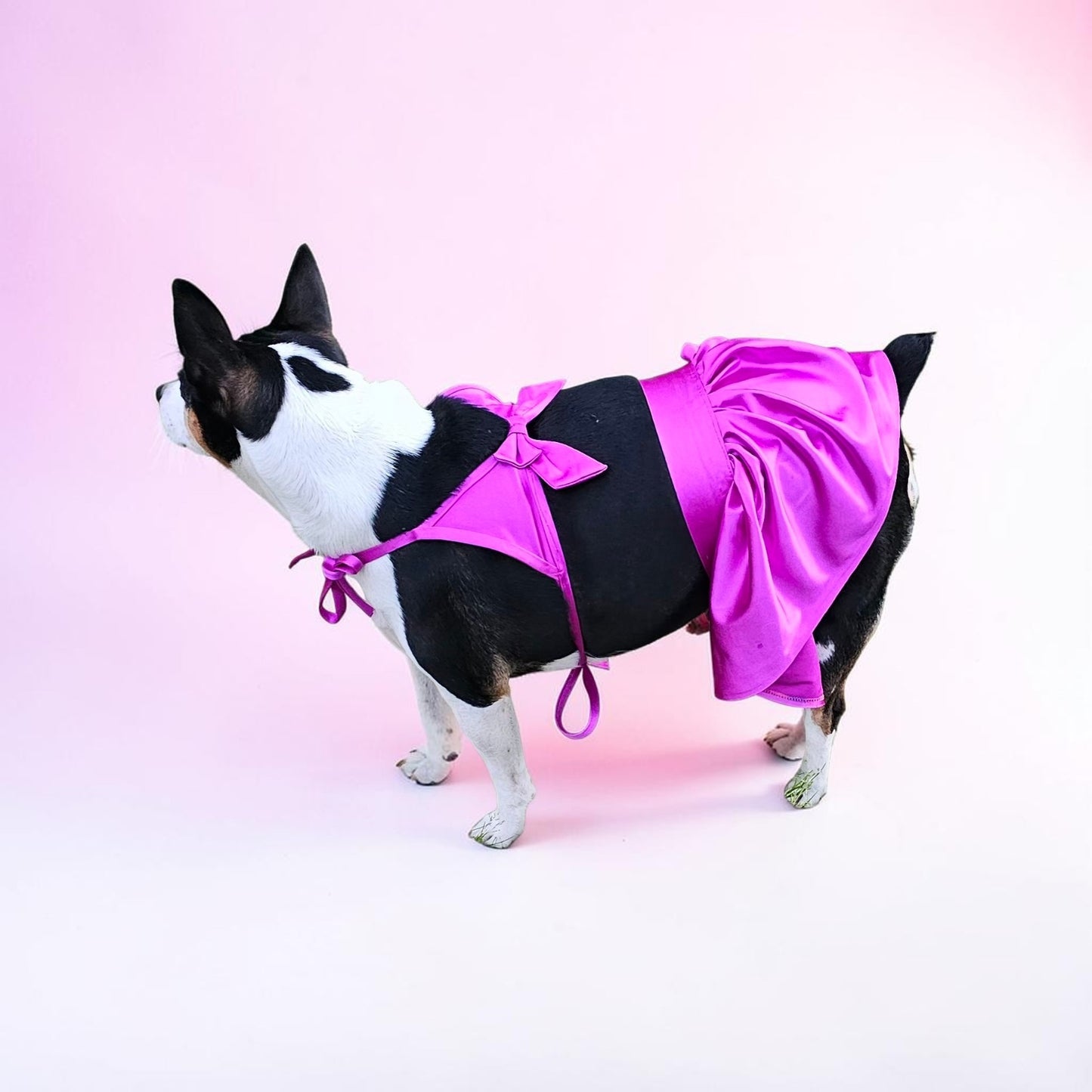 Swimsuit for pets, pet bathing suits, 2-piece pet bathing suit with skirt