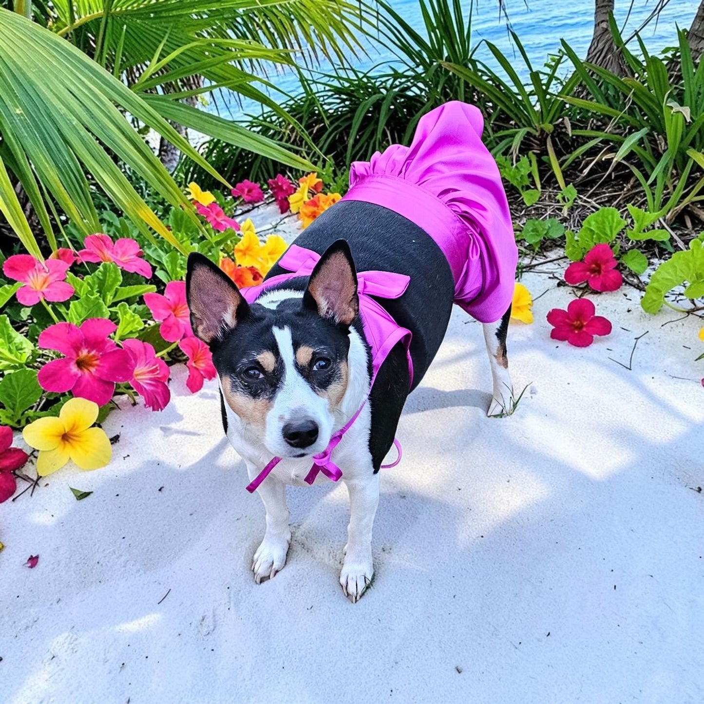 Swimsuit for pets, pet bathing suits, 2-piece pet bathing suit with skirt