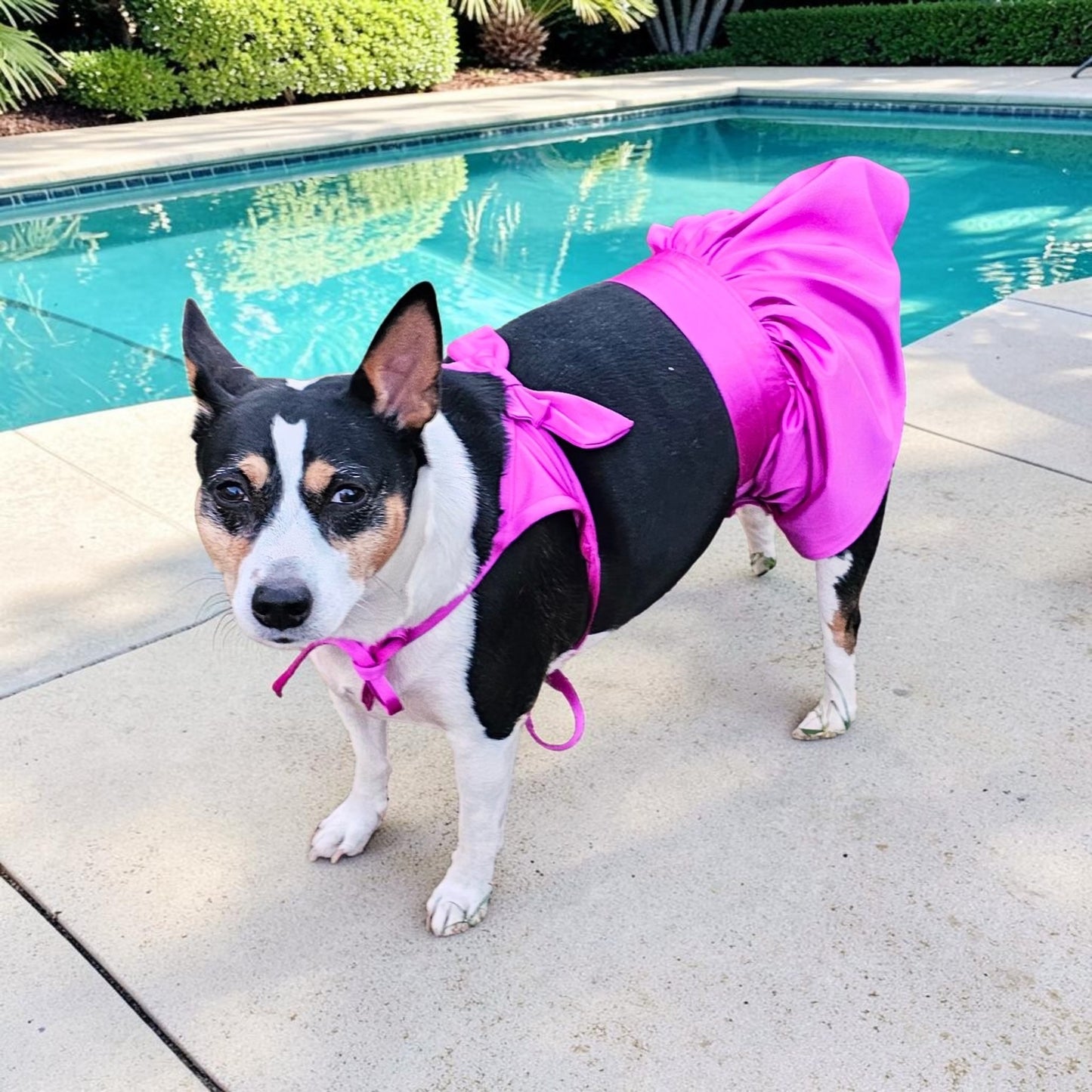 Swimsuit for pets, pet bathing suits, 2-piece pet bathing suit with skirt