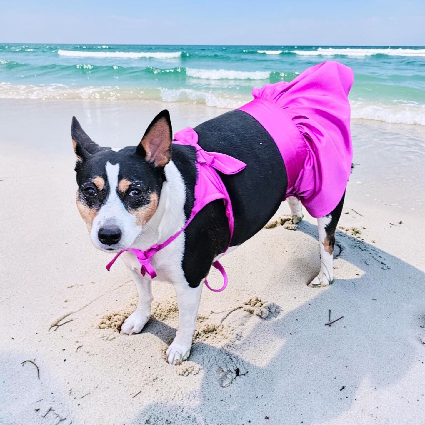 Swimsuit for pets, pet bathing suits, 2-piece pet bathing suit with skirt