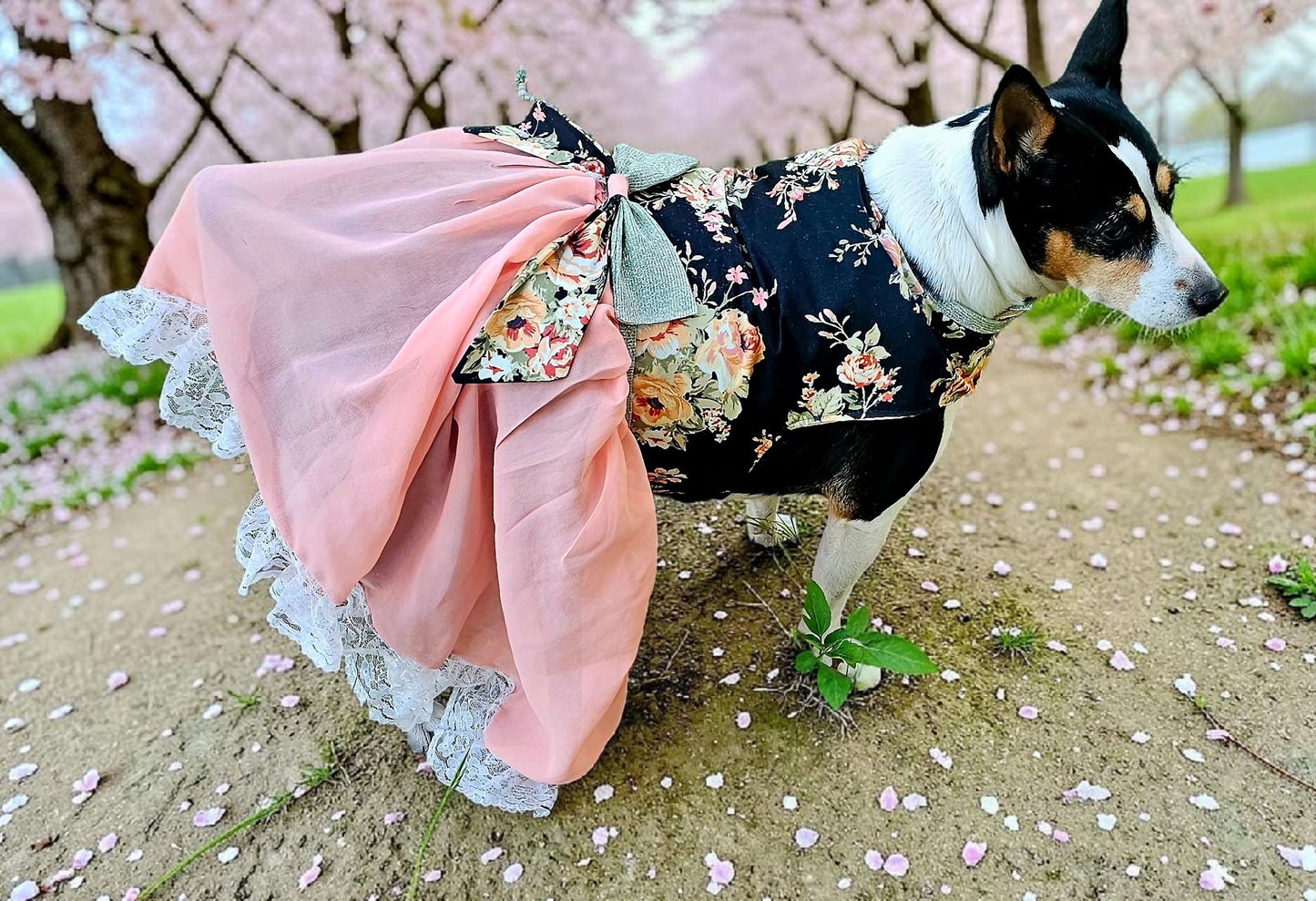 Flower Chiffon pet dress, glitter floral bow dog dress