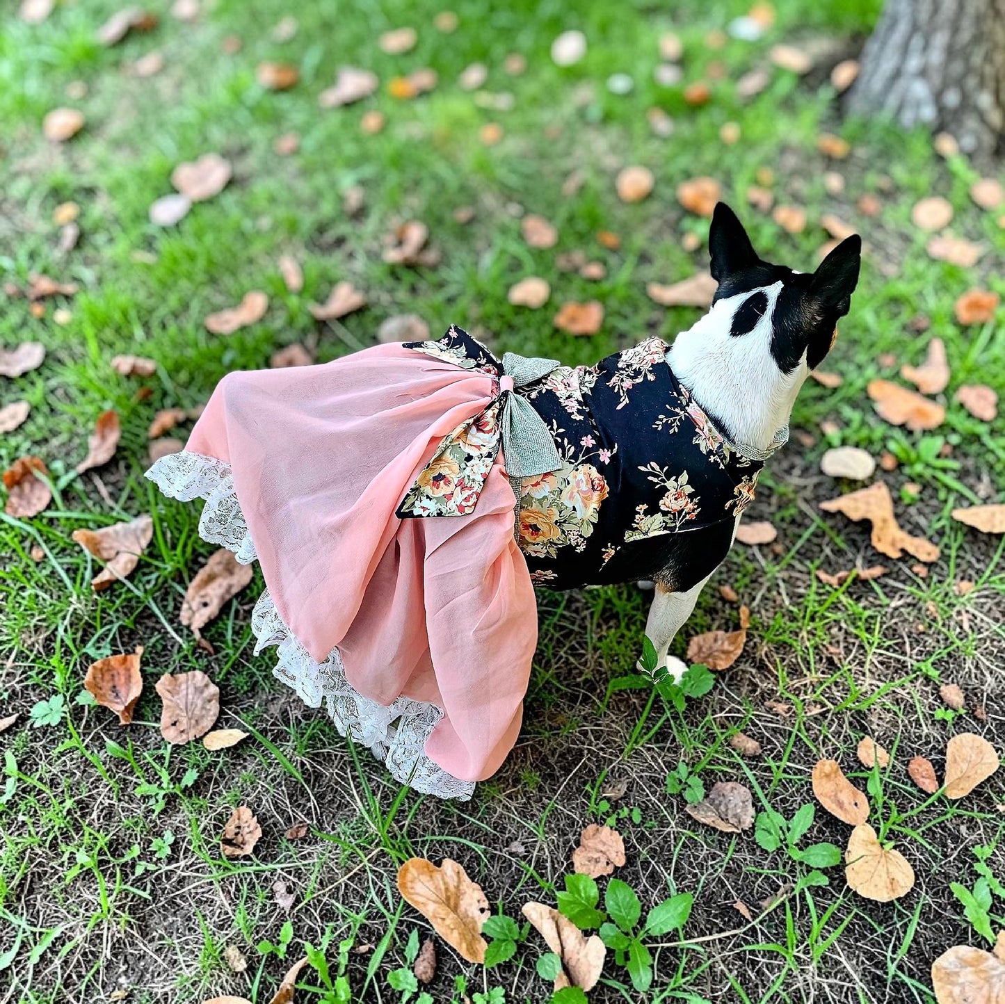 Flower Chiffon pet dress, glitter floral bow dog dress