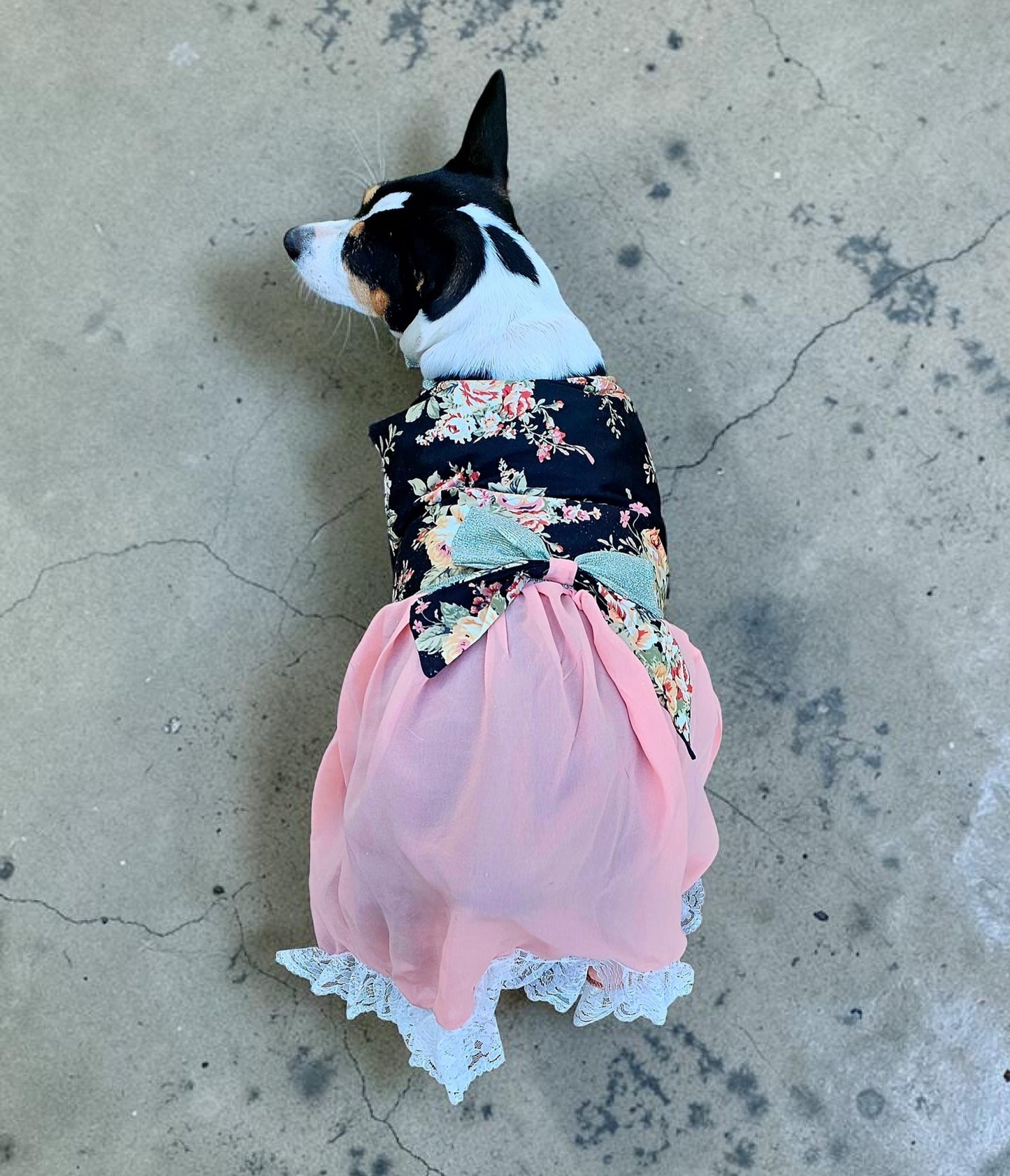 Flower Chiffon pet dress, glitter floral bow dog dress