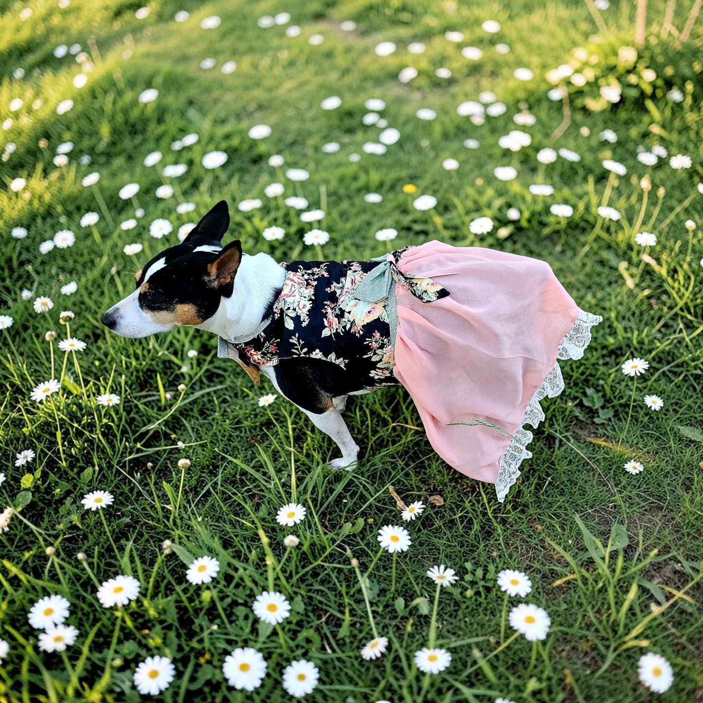 Flower Chiffon pet dress, glitter floral bow dog dress