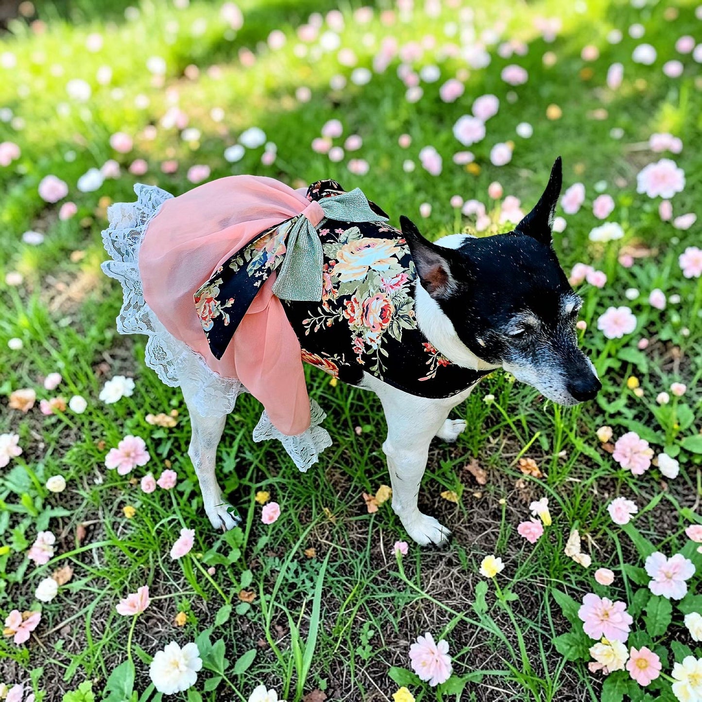 Flower Chiffon pet dress, glitter floral bow dog dress