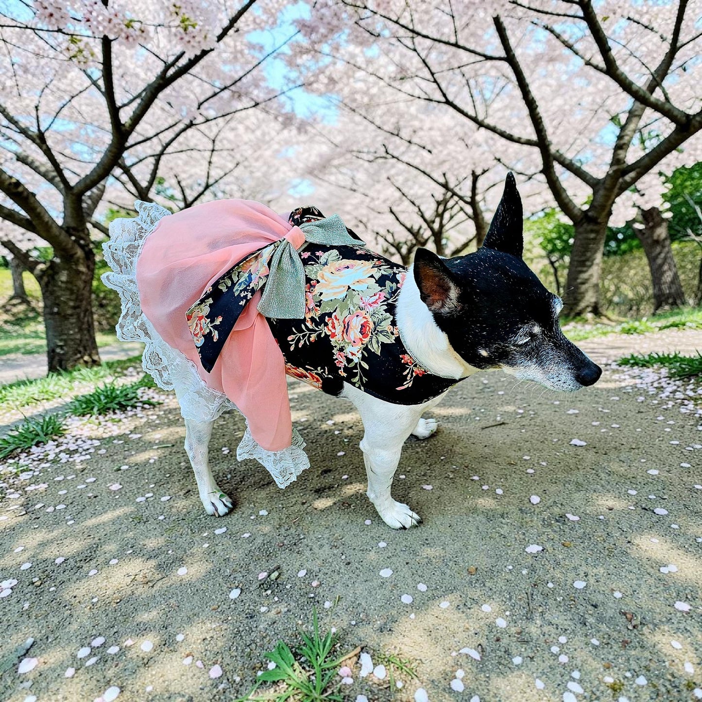 Flower Chiffon pet dress, glitter floral bow dog dress