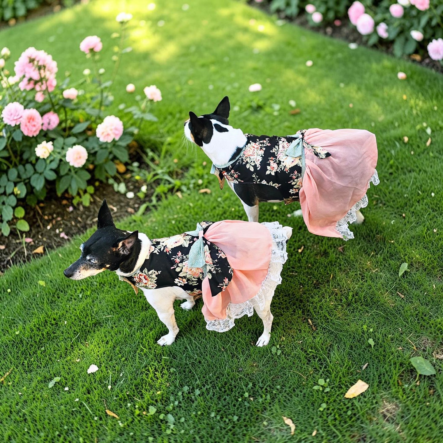 Flower Chiffon pet dress, glitter floral bow dog dress