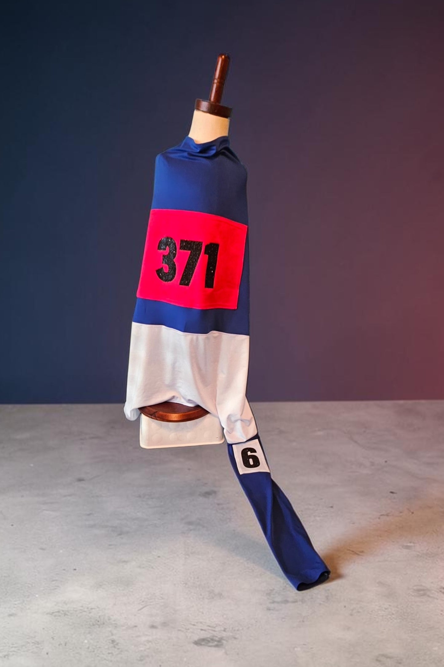 80s pet track suit, one-leg pet track suit, Florence Joyner pet suit, Flo Jo dog track suit