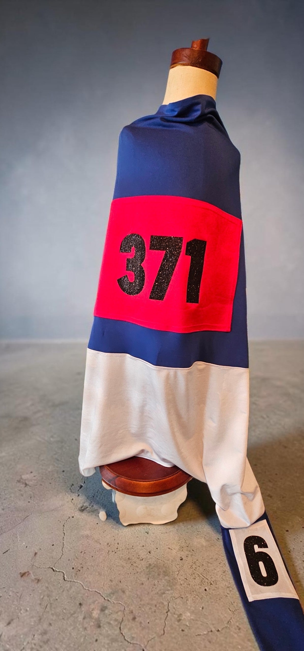 80s pet track suit, one-leg pet track suit, Florence Joyner pet suit, Flo Jo dog track suit