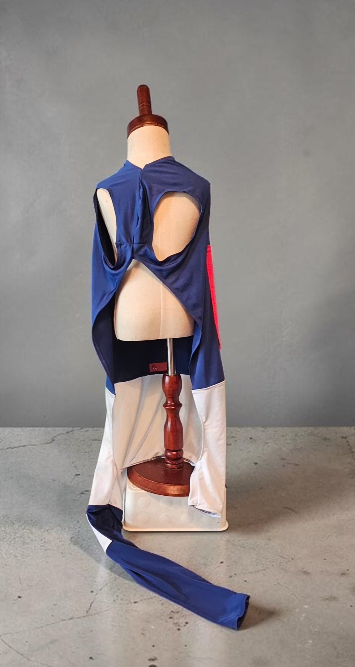 80s pet track suit, one-leg pet track suit, Florence Joyner pet suit, Flo Jo dog track suit
