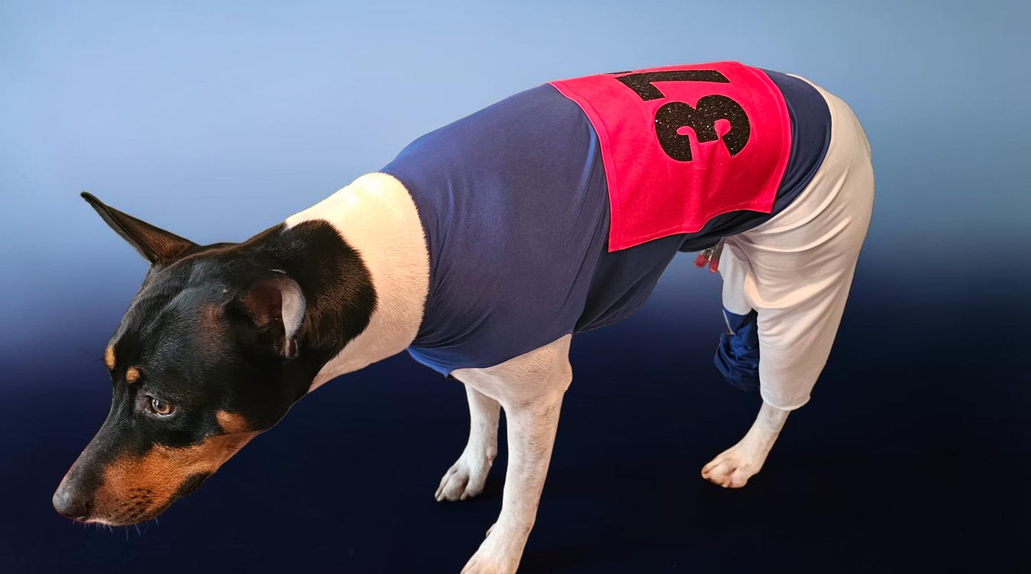 80s pet track suit, one-leg pet track suit, Florence Joyner pet suit, Flo Jo dog track suit